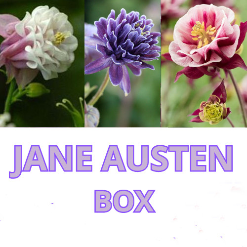 Különleges harangláb válogatás - Jane Austen Box